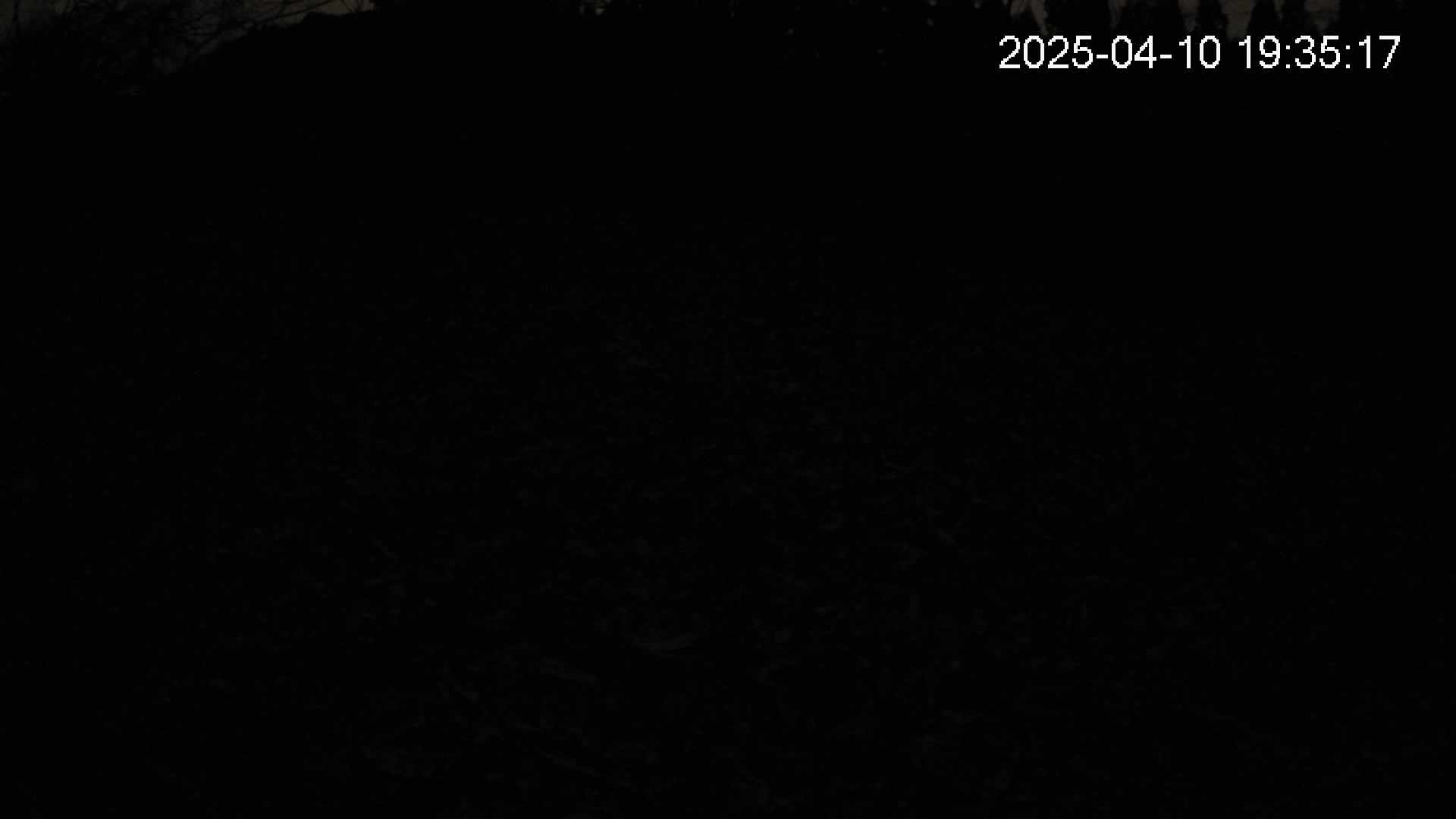 katakuri1-20250410193517.jpg