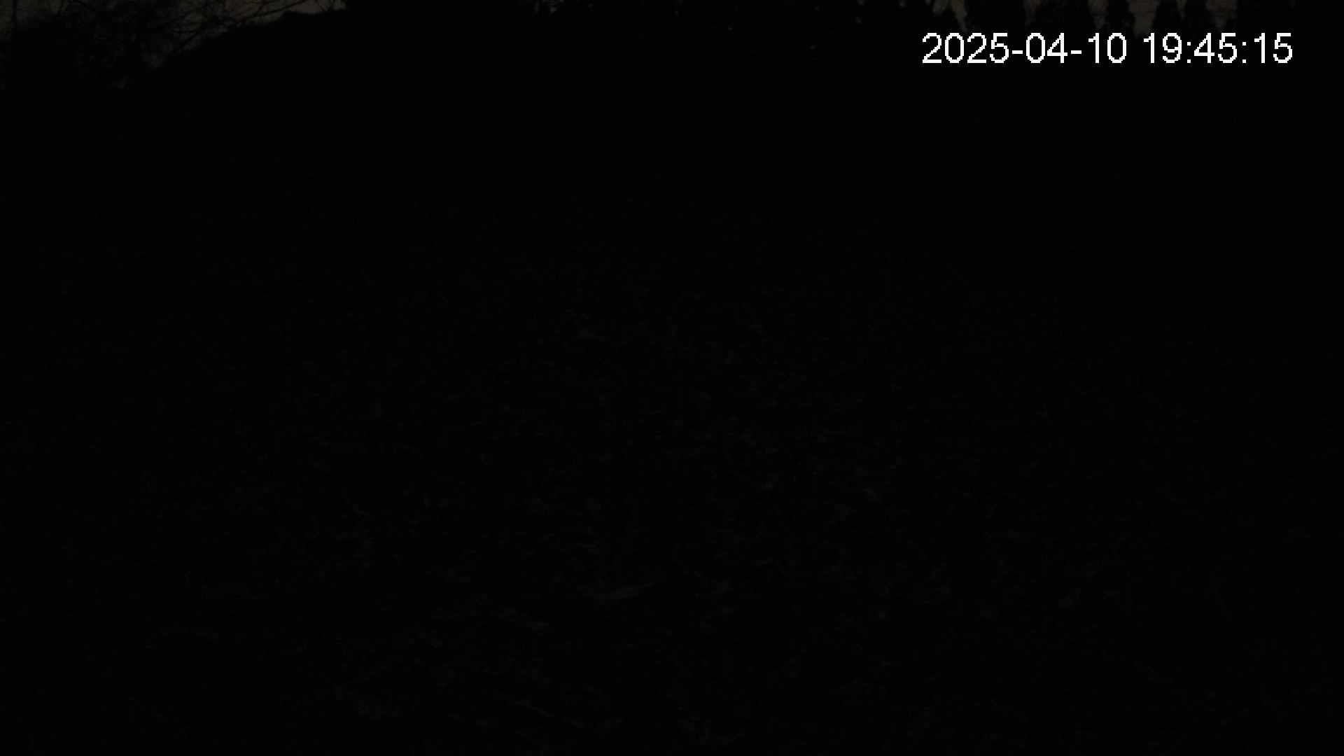 katakuri1-20250410194515.jpg