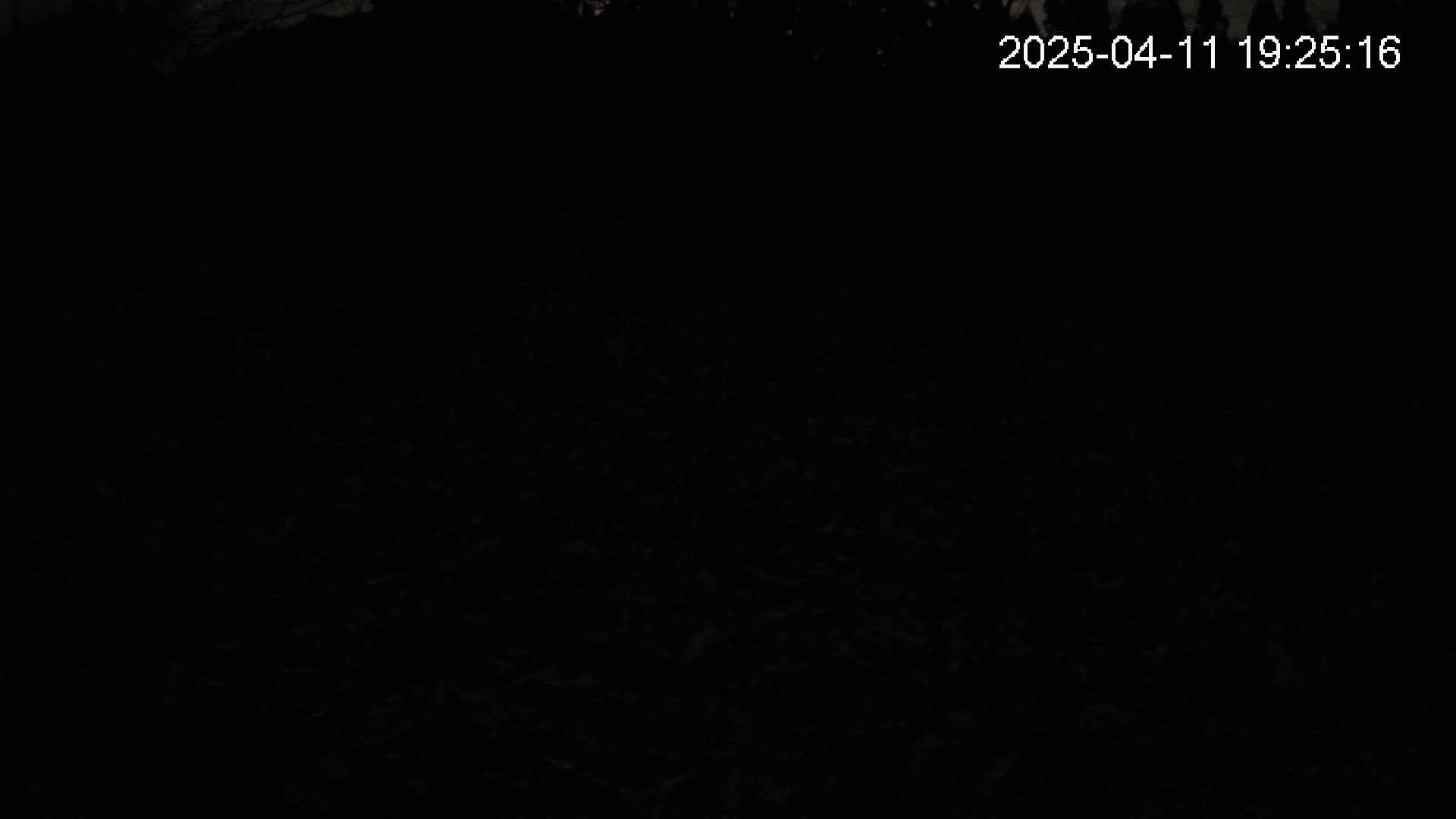 katakuri1-20250411192517.jpg