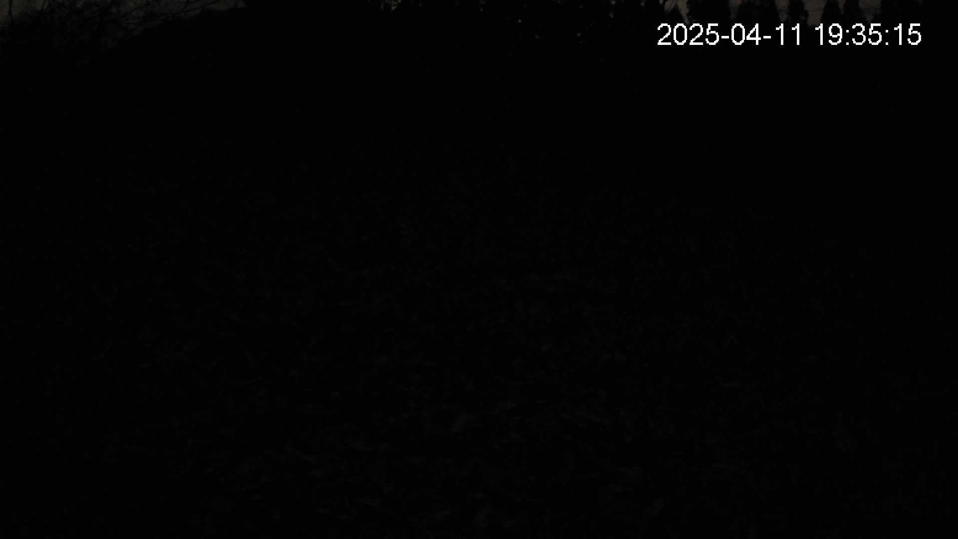 katakuri1-20250411193516.jpg