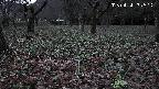 katakuri1-20250414182519.jpg
