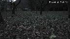 katakuri1-20250414183519.jpg