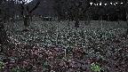 katakuri1-20250415183020.jpg