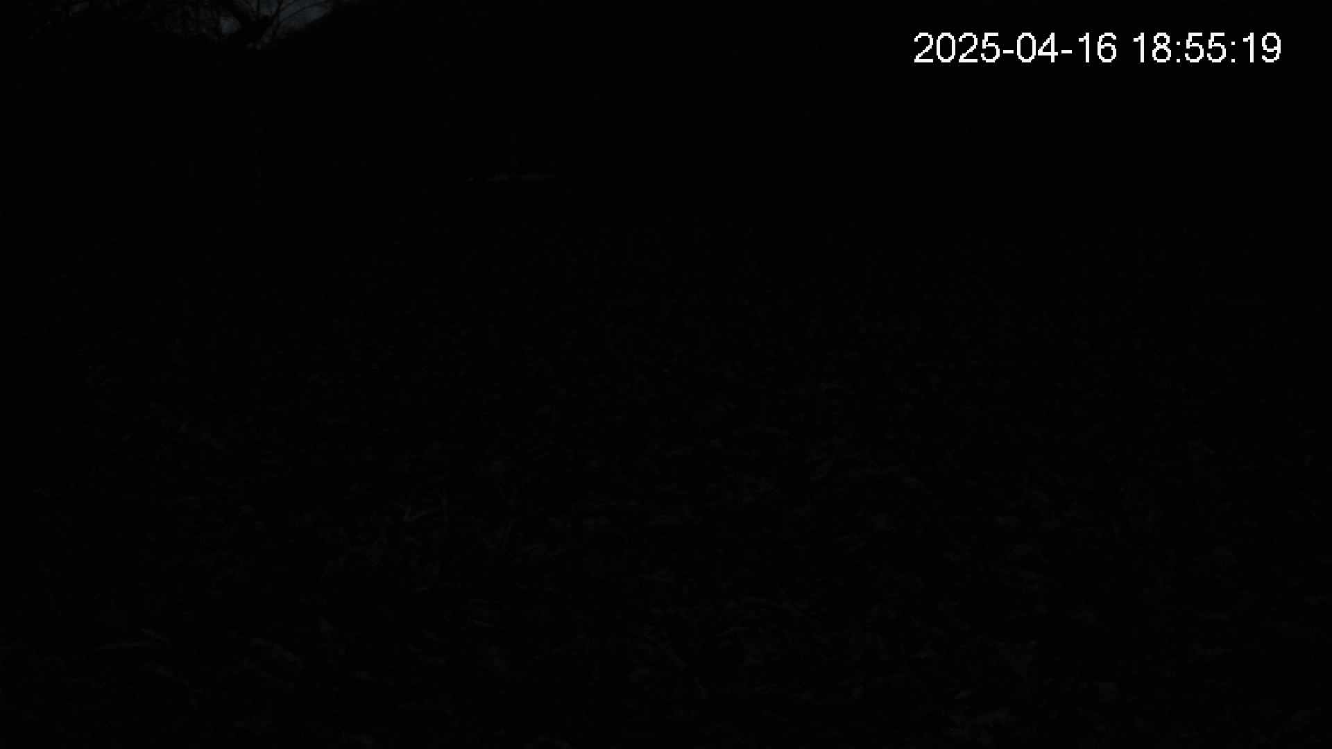 katakuri1-20250416185524.jpg