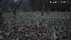 katakuri1-20250417183541.jpg