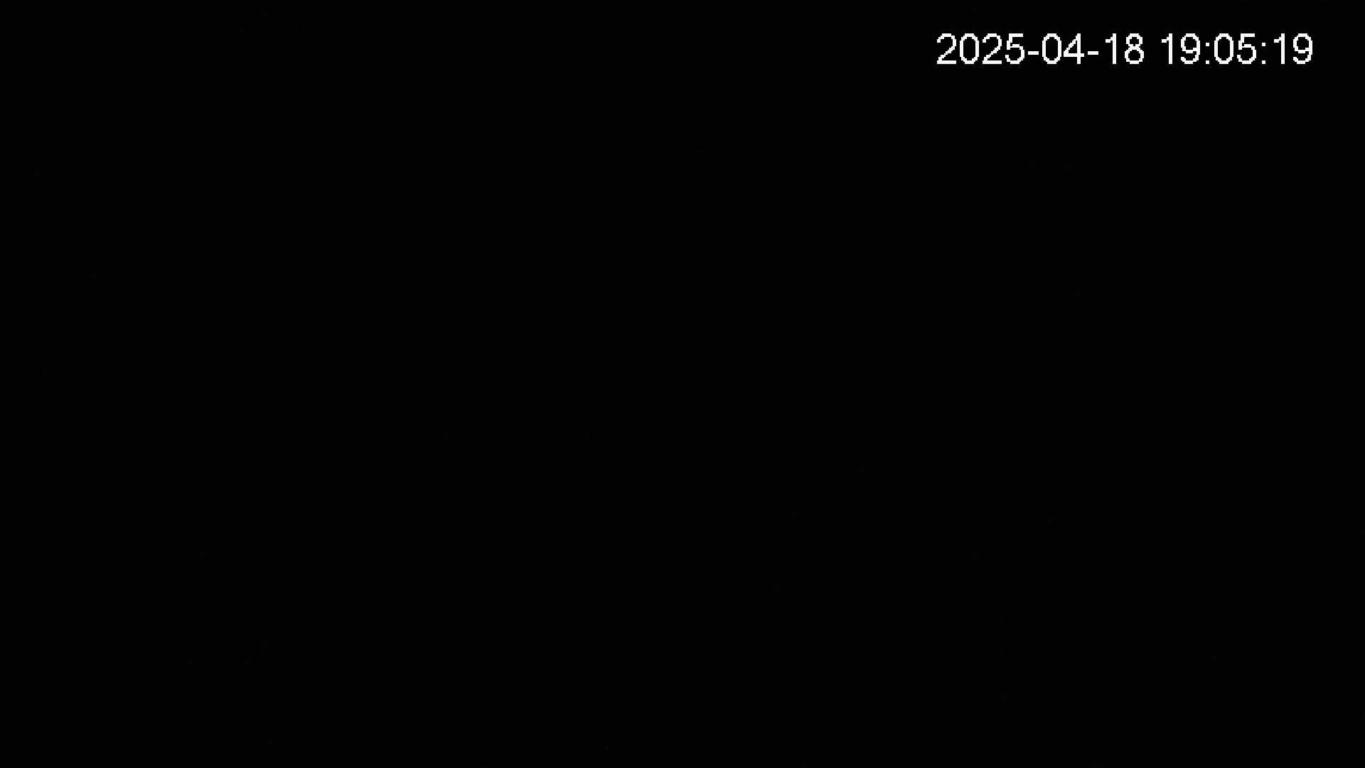 katakuri1-20250418190524.jpg