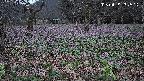 katakuri1-20250419182603.jpg