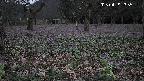 katakuri1-20250419183548.jpg