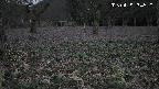 katakuri1-20250419184541.jpg