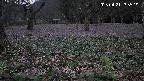 katakuri1-20250421183545.jpg