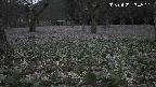 katakuri1-20250422184542.jpg