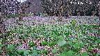 katakuri1-20250425105833.jpg