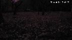 katakuri1-20250427185528.jpg