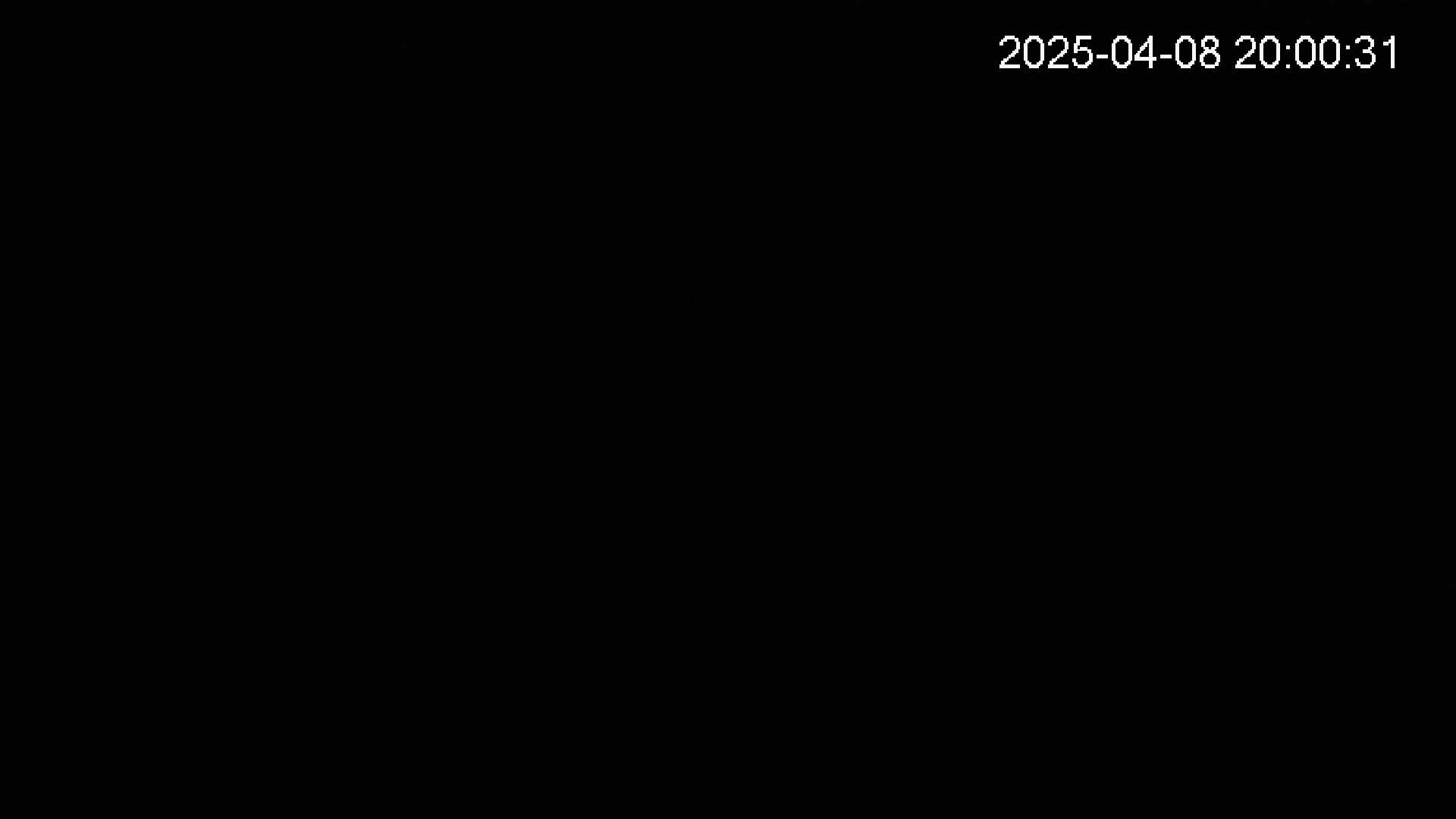 katakuri2-20250408200032.jpg