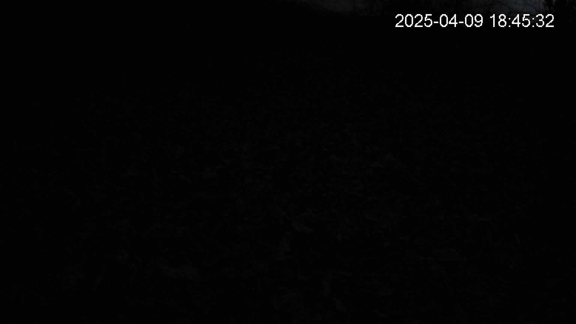 katakuri2-20250409184532.jpg