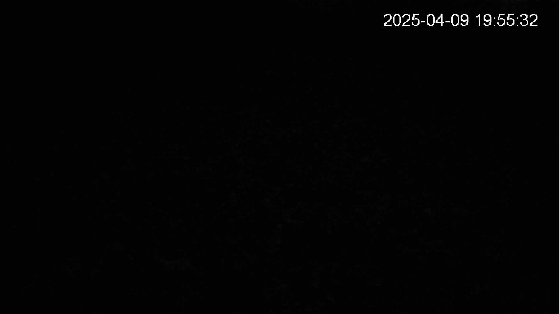 katakuri2-20250409195532.jpg