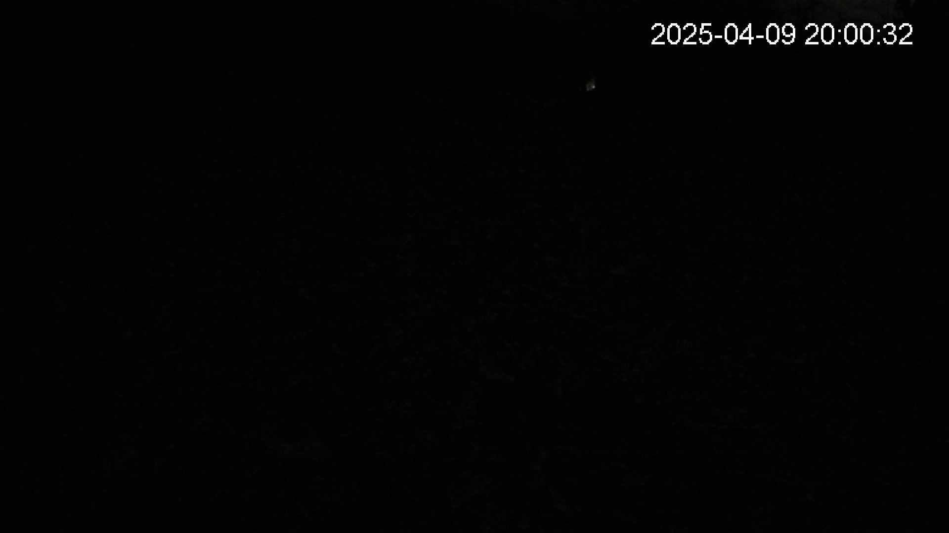 katakuri2-20250409200032.jpg