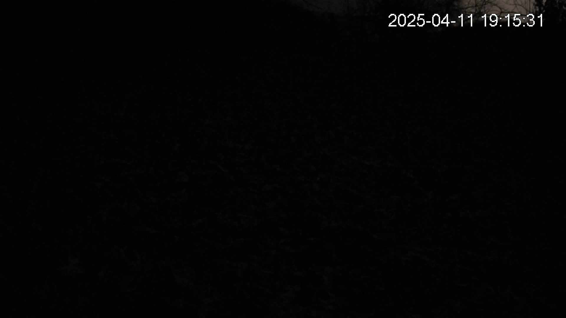 katakuri2-20250411191532.jpg