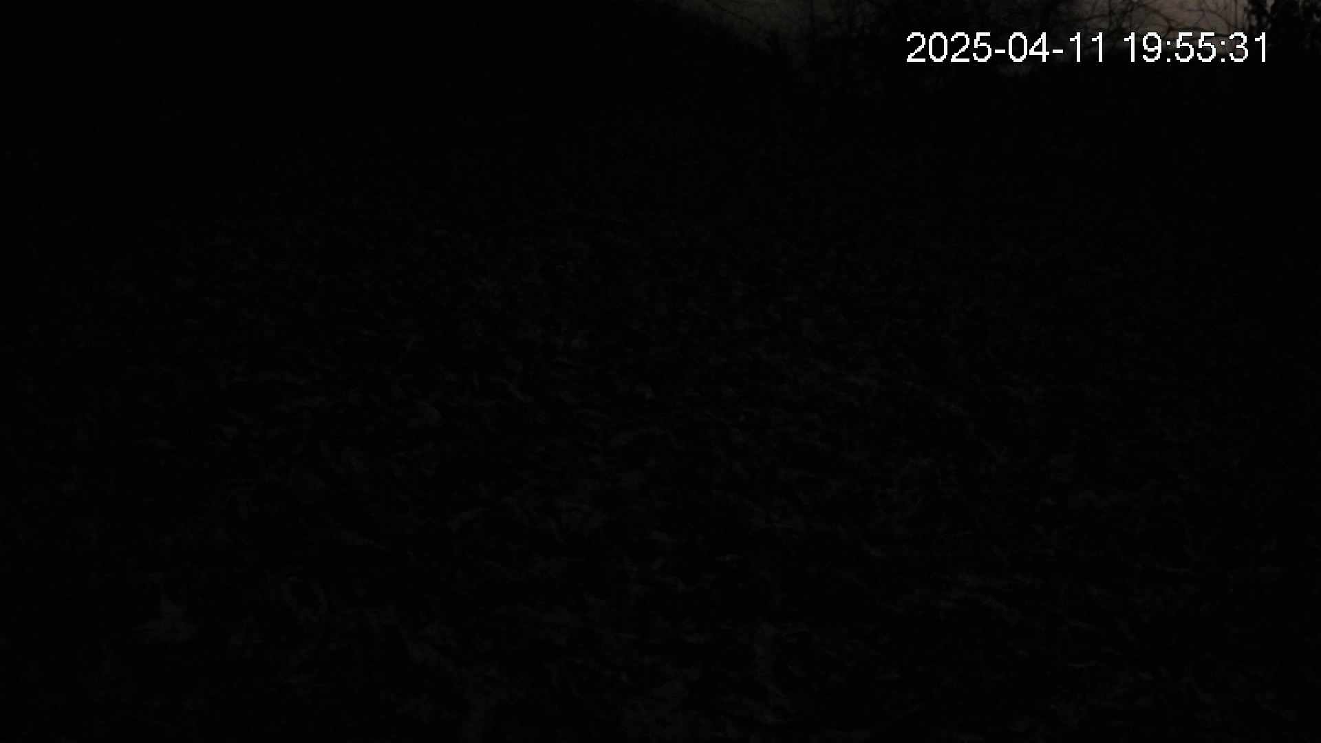 katakuri2-20250411195532.jpg