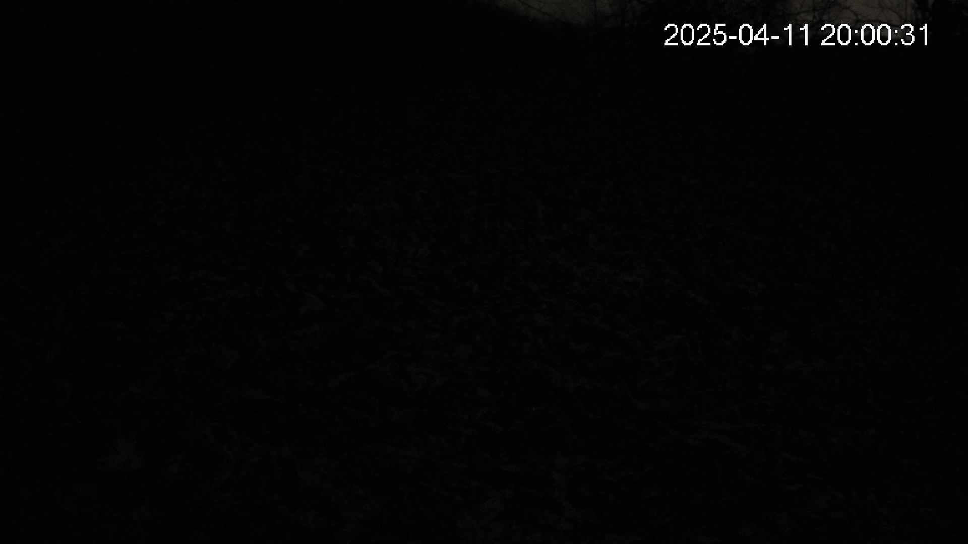 katakuri2-20250411200032.jpg