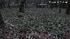 katakuri2-20250414182533.jpg