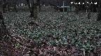 katakuri2-20250415182535.jpg