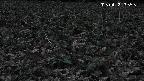 katakuri3-20250413183552.jpg