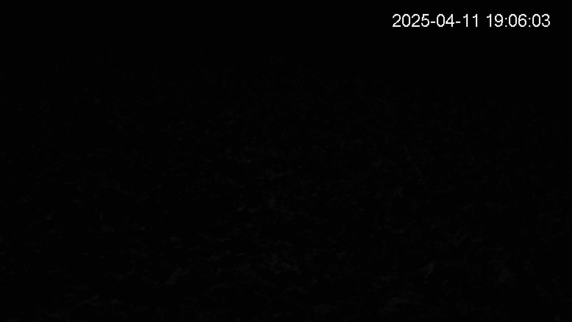 katakuri4-20250411190603.jpg