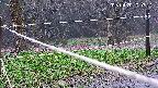 katakuri4-20250420100915.jpg