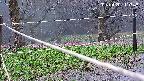 katakuri4-20250420110932.jpg