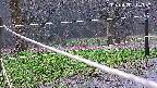 katakuri4-20250420114937.jpg