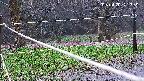 katakuri4-20250420121949.jpg
