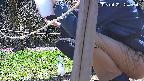 katakuri4-20250422124834.jpg